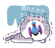 856224998