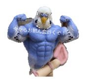 856224999