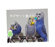 856225003