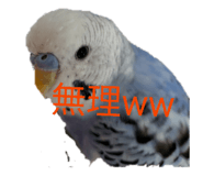 856225018