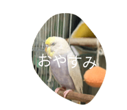 856225024