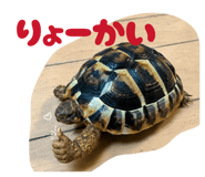 856225665