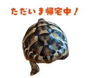 856225669