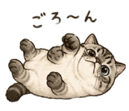 856225697