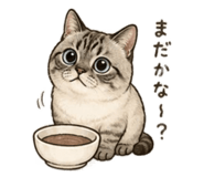 856225698