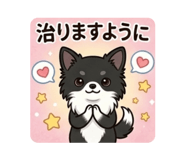 856225757