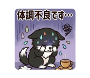 856225767