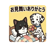 856225773