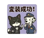 856225998