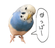 856226220