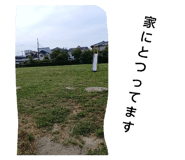 856227134