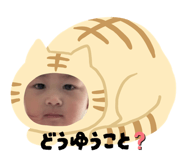 856227576