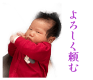 856227795