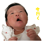856227800