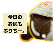 856228058