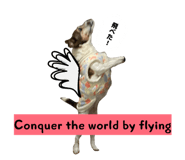 856228062