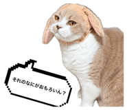 856228492