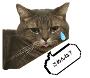 856228493
