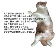 856228502