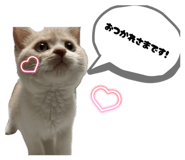 856228520