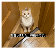 856228524