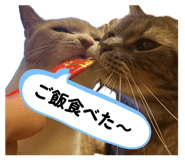 856228525
