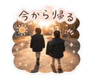 856228638