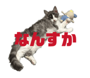 856228649