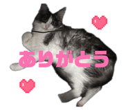 856228654