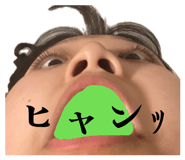 856228662