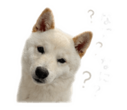 856228727