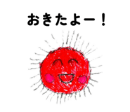 856229065