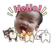856229166