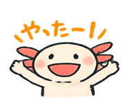 856229417