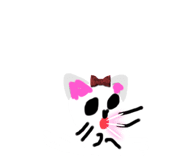 856229462