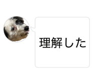 856229743