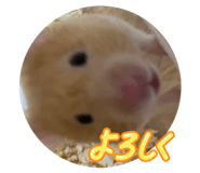 856229962