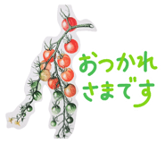 856229977