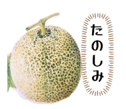 856229979