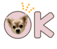 856230079