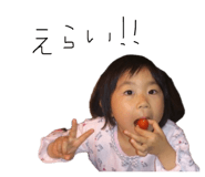 856230087