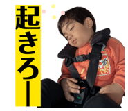 856230116