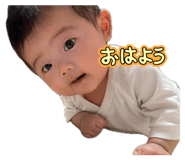 856230274