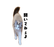 856230332