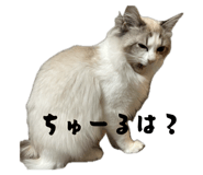 856230335