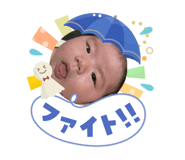 856230631