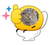 856231438
