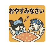 856231593