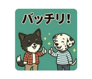 856231594