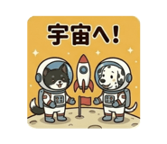 856231604